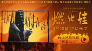 我和小子公交车